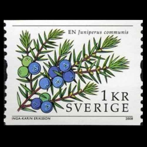 Sweden postage - Juniperus communis (Common juniper)