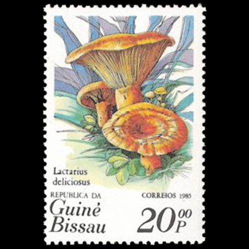 Guinea-Bissau postage - Lactarius deliciosus (Saffron milk cap)