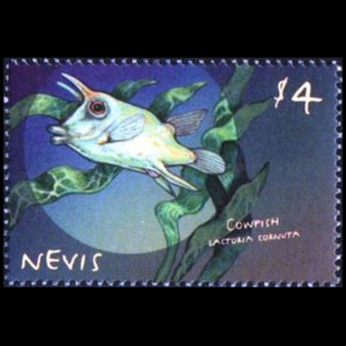 Nevis postage - Lactoria cornuta (Longhorn cowfish)