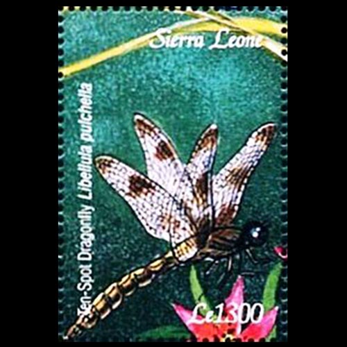 Sierra Leone postage - Libellula pulchella (Twelve-spotted skimmer)