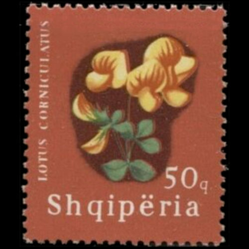 Albania postage - Lotus corniculatus (Bird's-foot trefoil)