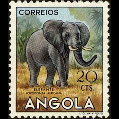 Angola postage - Loxodonta africana (African bush elephant)