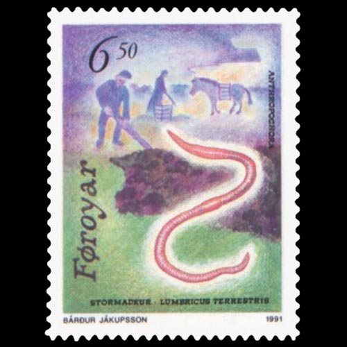 Faroe Islands postage - Lumbricus terrestris (Common earthworm)