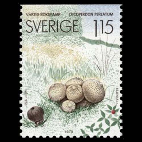 Sweden postage - Lycoperdon perlatum (Common puffball)