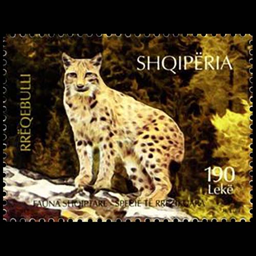 Albania postage - Lynx lynx (Eurasian lynx)