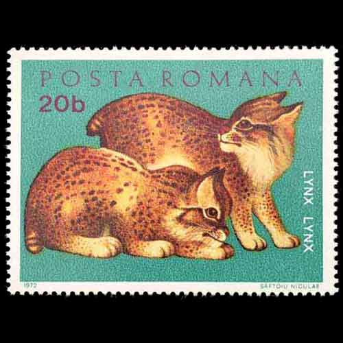 Romania postage - Lynx lynx (Eurasian lynx)