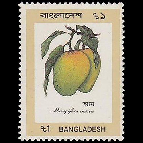 Bangladesh postage - Mangifera indica (Mango)