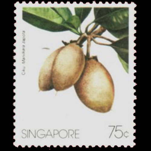 Singapore postage - Manilkara zapota (Sapodilla)