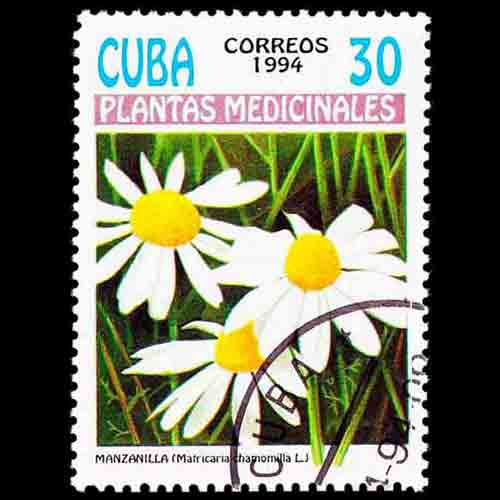 Cuba postage - Matricaria chamomilla (Chamomille)