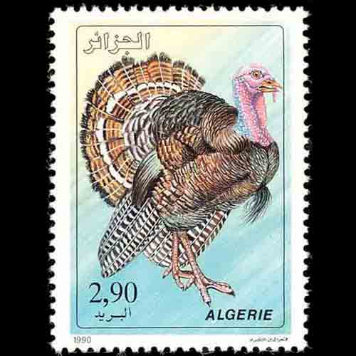 Algeria postage - Meleagris gallopavo (Wild turkey)