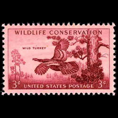 United States postage - Meleagris gallopavo (Wild Turkey)