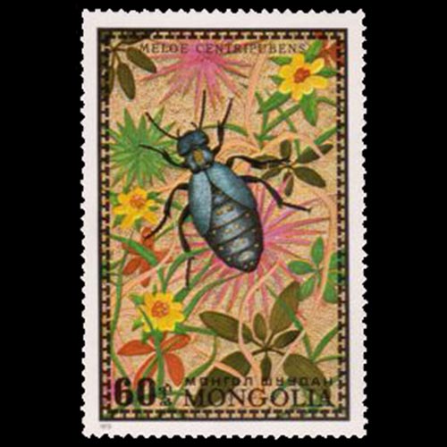 Mongolia postage  - Meloe centripubens (Blister beetle)
