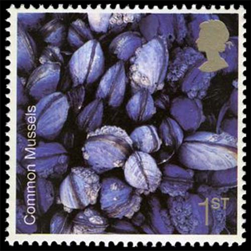 United Kingdom postage - Mytilus edulis (Common mussle)