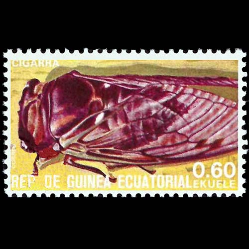 Equatorial Guinea postage - Neotibicen tibicen (Swamp cicada)