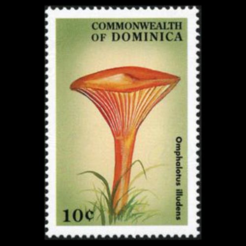 Dominica postage - Omphalotus illudens (Jack-o'lantern mushroom)