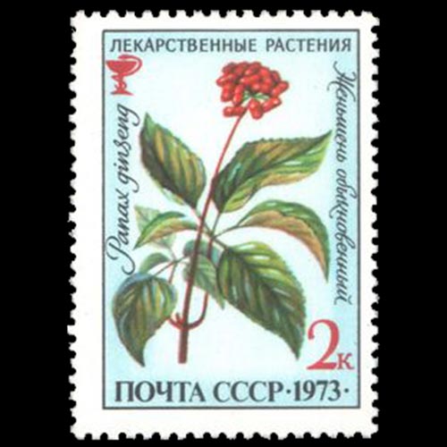 USSR postage - Panax ginseng (Ginseng)