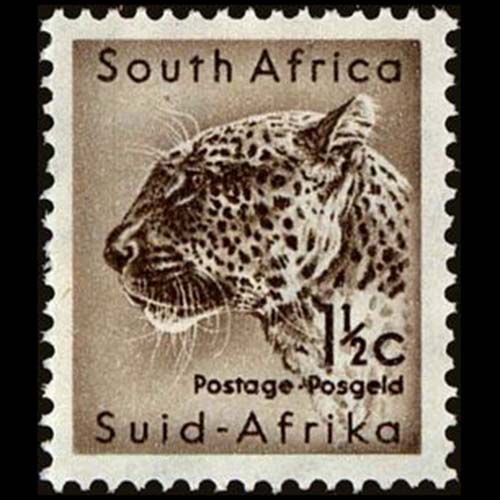 South Africa postage - Panthera pardus (Leopard)