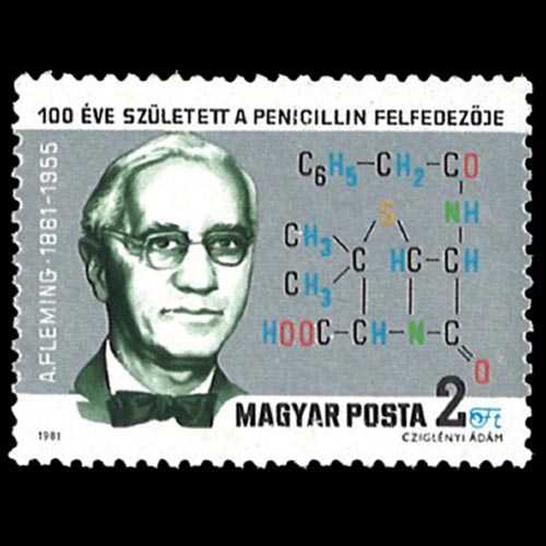 Hungary postage - Penicillium chrysogenum (Penicillin)
