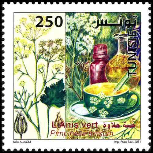 Tunisia postage - Pimpinella anisum (Anise)