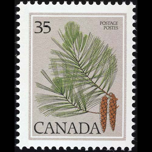 Canada postage - Pinus strobus (Eastern white pine)