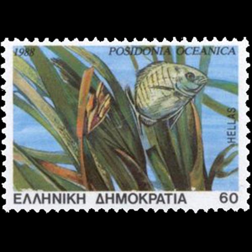 Greece postage - Posidonia oceanica (Neptune grass)
