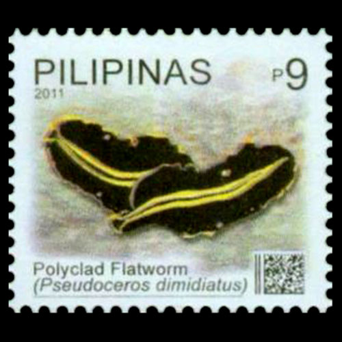 Philippines postage - Pseudoceros dimidiatus (Divided flatworm)