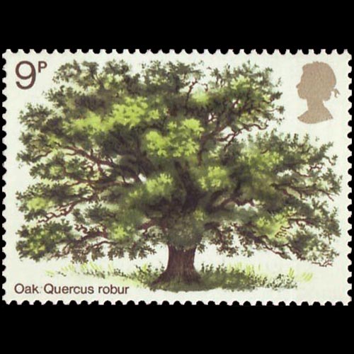 United Kingdom postage - Quercus robur (Common oak)