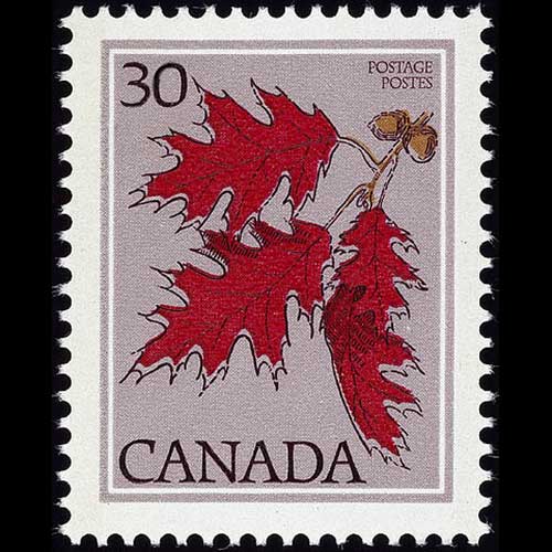 Canada postage - Quercus rubra (Northern red oak)