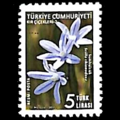 Turkey postage - Scilla luciliae (Glory-of-the-Snow)