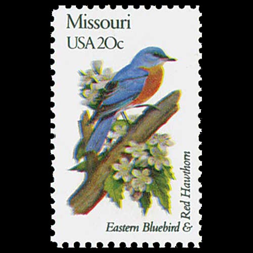 United States postage - Sialia sialis (Eastern bluebird)