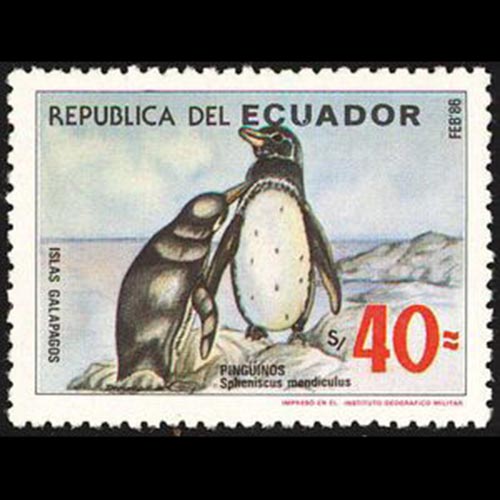 Ecuador postage - Spheniscus mendiculus (Galápagos penguin)