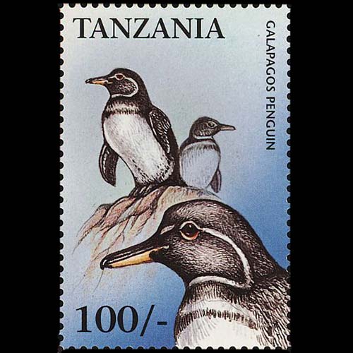 Tanzania postage - Spheniscus mendiculus (Galápagos penguin)