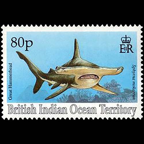 British Indian Ocean Territory postage - Sphyrna mokarran (Hammerhead shark)