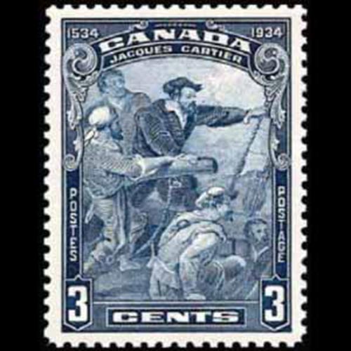 Canada postage - Thuja occidentalis (Eastern white cedar)