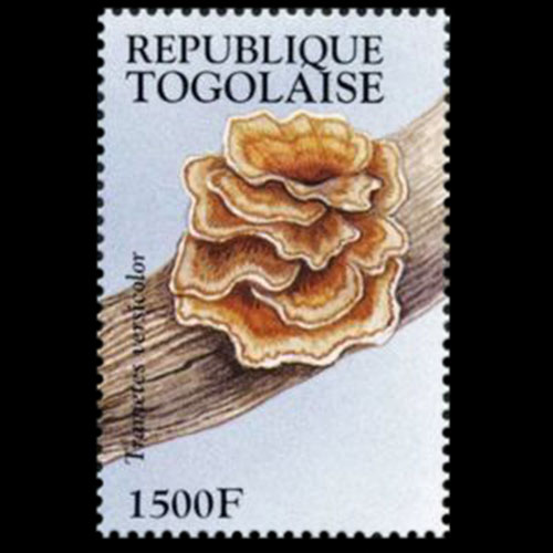 Togo postage - Trametes versicolor (Turkey-tail)