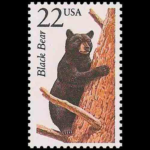 United States postage - Ursus americanus (American black bear)