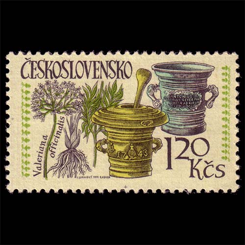Czechoslovakia postage - Valeriana officinalis (Valerian)