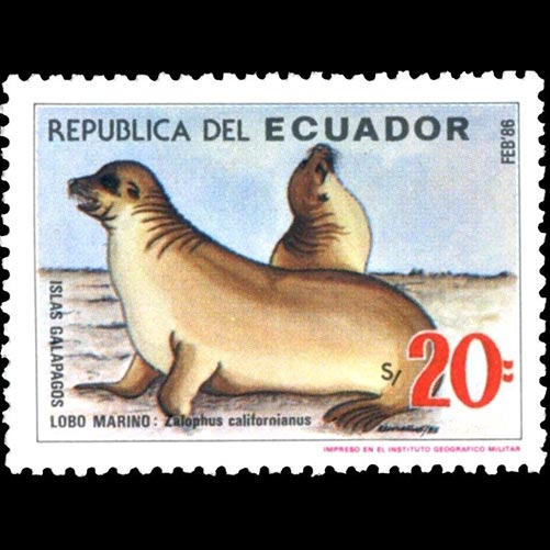 Ecuador postage - Zalophus wollebaeki (Galápagos sea lion)
