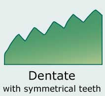 Dentate (Toothed)