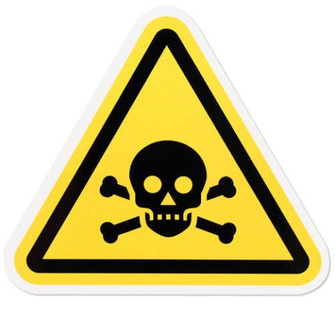 Fungi Edibility: poisonous