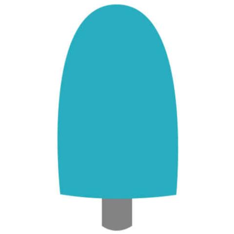 Fungi-ID Cap-Shape: cylindrical