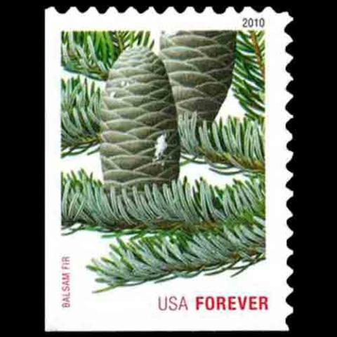 United States postage - Abies balsamea (Balsam Fir)