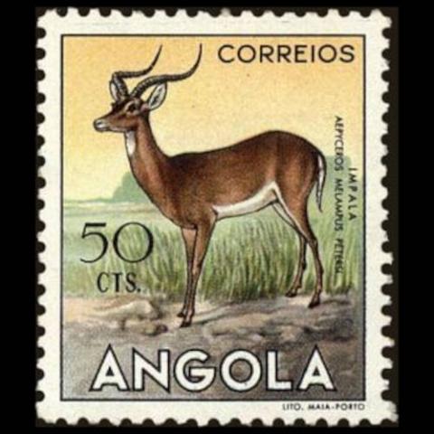 Angola postage - Aepyceros melampus (Impala)