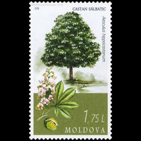 Moldova postage - Aesculus hippocastanum (Horsechestnut)