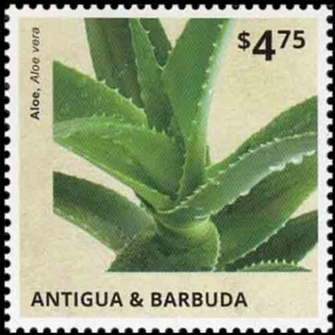 Antigua and Barbuda postage - Aloe vera (Burn plant)