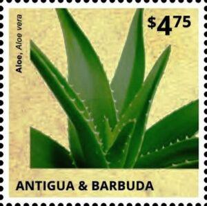 Antigua and Barbuda postage - Aloe vera (Burn plant)