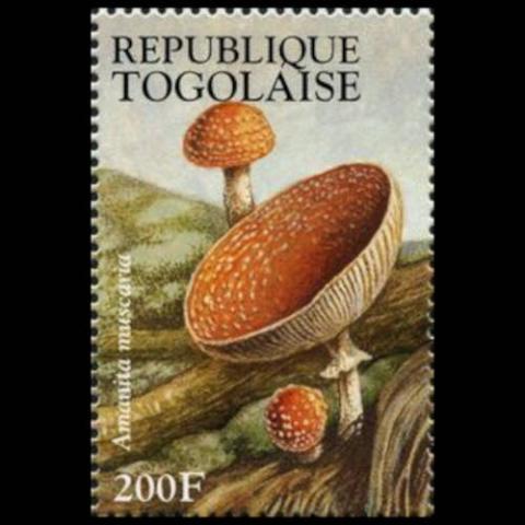 Togo postage - Amanita muscaria (Fly agaric)