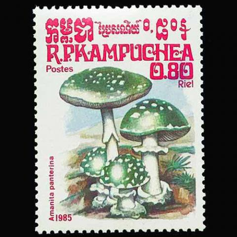 Cambodia postage - Amanita pantherina (Panther cap)