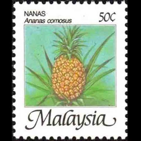 Malaysian postage - Ananas comosus (Pineapple-aka Ananas sativas)