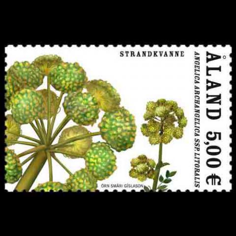 Aland Islands postage - Angelica archangelica (Norwegian angelica)